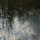 안터생태공원 이미지