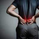 산호헬스 이미지