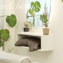 레비살롱
