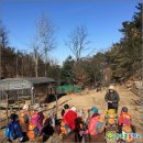 숲으로 가는 어린이집 이미지