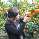 호텔랑주 이미지