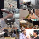 새 하나농장 이미지