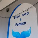 푸른바다와 펜션 | 밧개해변 앞 태안애견펜션 푸른바다와 동반 댕댕이와 같이 가성비숙소...