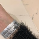 새둥지식당 | [관람 후기] 아드리안 비야르 로하스 : 적군의 언어 (+ 식당 도트블랭킷, 포토그레이 진격거)