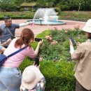 스마트폰을 활용한 매력적인 사진찍기 이미지