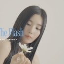 The Flash 이미지