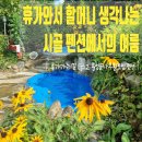 솔나무황토방 | 어쩌다 오게 된 옛날 할머니 집과 같은 펜션, 그리고 비염 사라지는 여행 <솔나무황토방펜션(횡성)>