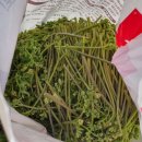 지리산둘레길중태마을안내소 | 산청군 시천면 중태마을 산에서 채취하는 자연산 고사리꺽기의 계절