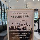 코코피부 이미지