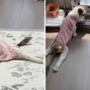유포식품 3공장