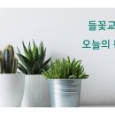 2026년 09월 07일 (월) 제목 : 요람의 죽음 오늘의 말씀 : 열왕기하 9:14-26 이미지