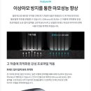 고양화전18 이미지