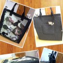 냥이야놀자 이미지