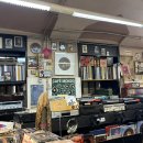 썬라인즈 이미지