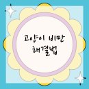 송파바로동물병원 이미지