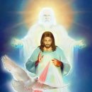 5월 8일 부활 제6주간 수요일 ＜성부, 성자, 성령이신 성삼위 하느님께서 드러나십니다. ＞오 상선 바오로 신부 이미지
