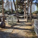 늘봄식당 | 강릉 송정해수욕장 근처 늘봄식당 갈비탕, 육회비빔밥 후기