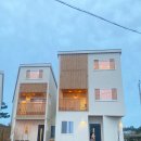 스테이 까미노 이미지