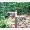 충북알프스자연휴양림 이미지