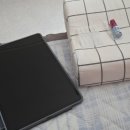 밝은안과의원 | 인천 용현늘밝은안과 라섹 수술 내돈내산 후기 (8개월차)