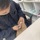 미사랑동물병원 이미지