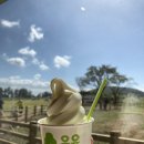 태광목장 이미지