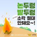 소각