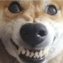 오타쿠