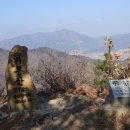 칠곡IC 우측 Daum카페