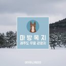 제주 무료 천연눈썰매장 ☆ 이미지