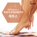 레푸스 정자점 이미지