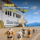 한일펫 | 한일고속페리 펫크루 서포터즈 5기 모집(~6/10)