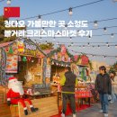 소청도 | 겨울 중국 여행 칭다오 가볼만한곳 소청도 小青岛 크리스마스 마켓 후기