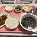 옙쁜 | 신도림 아름제일 병원 제왕절개 출산후기(수술1,2일차)_38주 5일 역아/니큐간 아기