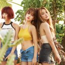 나래 워싱 이미지