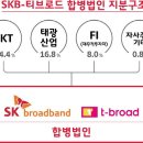 SK브로드밴드-티브로드 합병법인 3대주주는 미래에셋대우 이미지