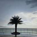 꿈의 달 休 이미지