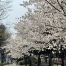 W2. 선택의 연속(웨딩홀, 웨딩밴드, 맞춤예복, 드레스투어)