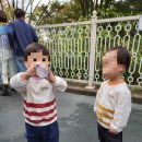 주차21 | 용인 에버랜드 21개월 아이랑 10월 주말 방문 후기 1탄 : 주차 입장 휴먼스카이 주토피아