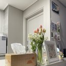 평화티슈 이미지