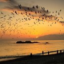 문무약국 이미지