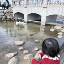 태연팜 | 켄싱턴평창 아이 동반 후기｜객실·조식·수영장·애니멀팜 정리