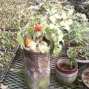 하성농장 이미지