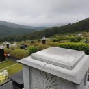 엄마요양병원 이미지