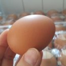 은성축산 이미지