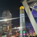 월드피오피 | 롯데월드타워 벨리곰 석촌호수 봄의 시작을 알리다