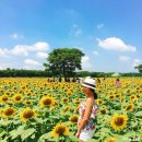 서부문구사