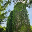 재준목장 이미지