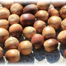 불영사식당 이미지