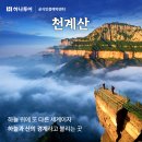 꿈에그린여행사